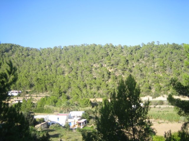 img_7647.jpg