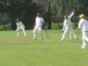 img_7227_small.jpg