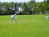 Photo Number 14