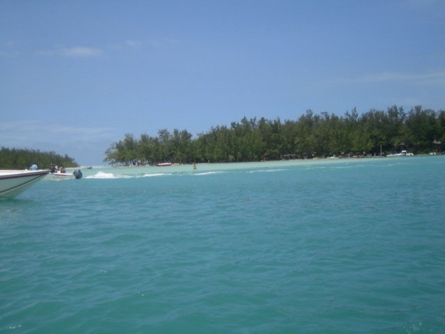img_8584.jpg