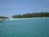 img_8584_small.jpg