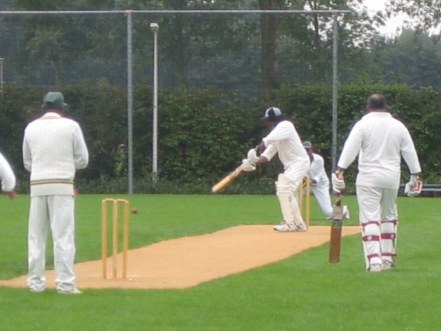 img_7125.jpg